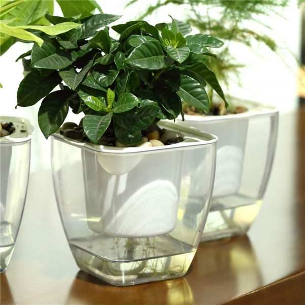 Self Watering Plant Pot